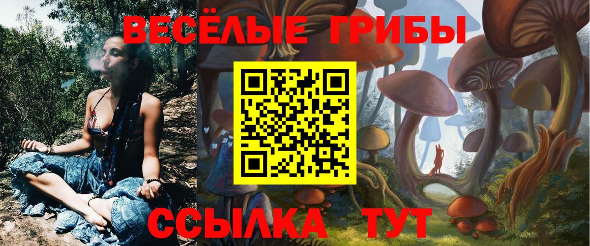 Псилоцибиновые грибы GOLDEN TEACHER  Галлюциногенные грибы MAGIC MUSHROOMS  купить   Вход с VPN  Гусев 